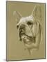 French Bulldog-Barbara Keith-Mounted Giclee Print