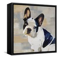 French Bulldog-Keri Rodgers-Framed Stretched Canvas