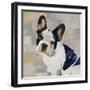 French Bulldog-Keri Rodgers-Framed Art Print