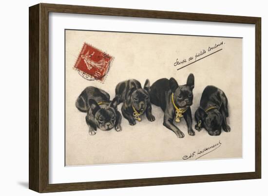 French Bulldogs-null-Framed Art Print