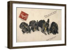 French Bulldogs-null-Framed Art Print