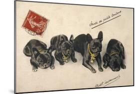 French Bulldogs-null-Mounted Art Print