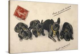 French Bulldogs-null-Stretched Canvas