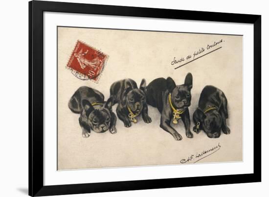 French Bulldogs-null-Framed Art Print