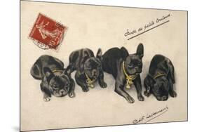 French Bulldogs-null-Mounted Art Print