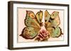 French Butterfly Couple-null-Framed Art Print