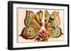 French Butterfly Couple-null-Framed Art Print