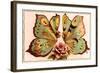 French Butterfly Couple-null-Framed Art Print