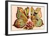 French Butterfly Couple-null-Framed Art Print