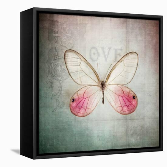 French Butterfly I-Debra Van Swearingen-Framed Stretched Canvas