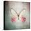 French Butterfly I-Debra Van Swearingen-Stretched Canvas