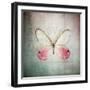 French Butterfly I-Debra Van Swearingen-Framed Art Print
