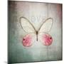 French Butterfly I-Debra Van Swearingen-Mounted Art Print