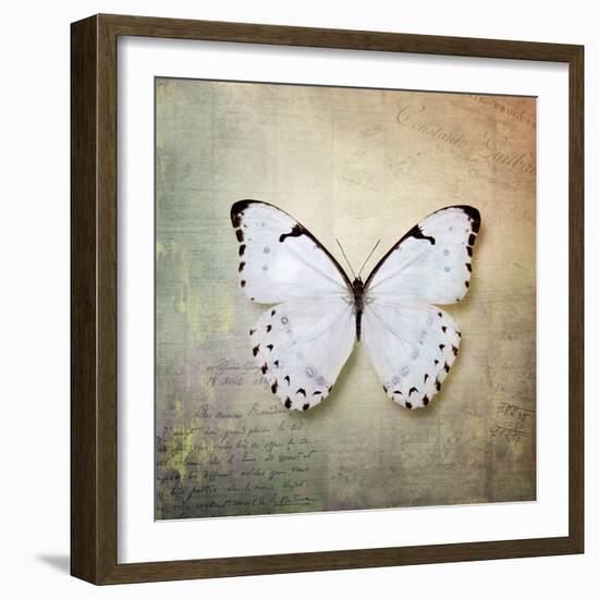 French Butterfly II-Debra Van Swearingen-Framed Art Print