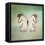 French Butterfly IV-Debra Van Swearingen-Framed Stretched Canvas