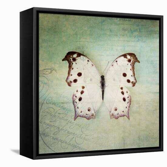 French Butterfly IV-Debra Van Swearingen-Framed Stretched Canvas