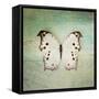 French Butterfly IV-Debra Van Swearingen-Framed Stretched Canvas