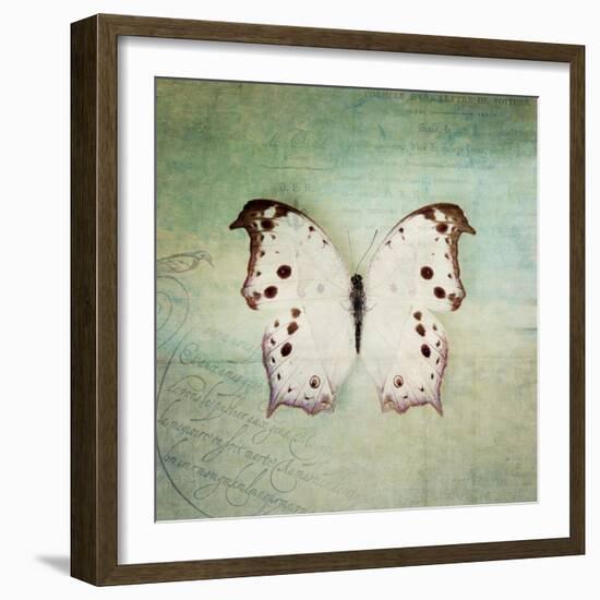 French Butterfly IV-Debra Van Swearingen-Framed Art Print