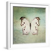 French Butterfly IV-Debra Van Swearingen-Framed Art Print