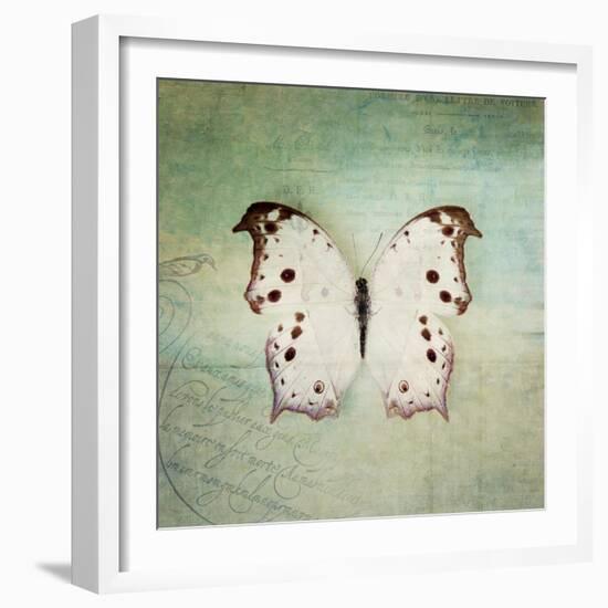 French Butterfly IV-Debra Van Swearingen-Framed Art Print