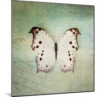 French Butterfly IV-Debra Van Swearingen-Mounted Art Print