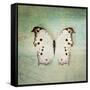 French Butterfly IV-Debra Van Swearingen-Framed Stretched Canvas