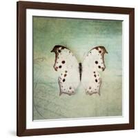 French Butterfly IV-Debra Van Swearingen-Framed Art Print