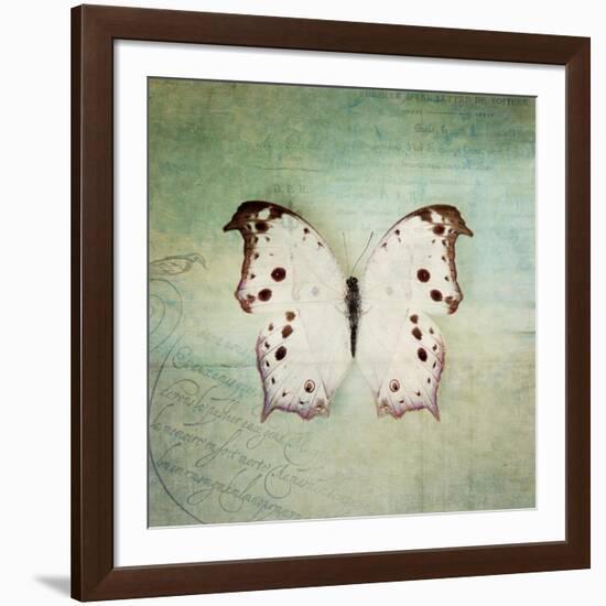 French Butterfly IV-Debra Van Swearingen-Framed Art Print