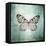 French Butterfly V-Debra Van Swearingen-Framed Stretched Canvas