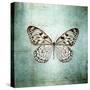 French Butterfly V-Debra Van Swearingen-Stretched Canvas