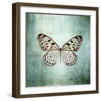 French Butterfly V-Debra Van Swearingen-Framed Art Print