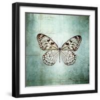 French Butterfly V-Debra Van Swearingen-Framed Art Print