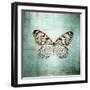 French Butterfly V-Debra Van Swearingen-Framed Art Print