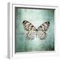 French Butterfly V-Debra Van Swearingen-Framed Art Print
