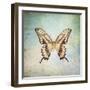 French Butterfly VI-Debra Van Swearingen-Framed Art Print