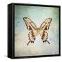 French Butterfly VI-Debra Van Swearingen-Framed Stretched Canvas