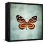 French Butterfly VIII-Debra Van Swearingen-Framed Stretched Canvas