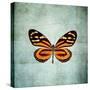 French Butterfly VIII-Debra Van Swearingen-Stretched Canvas