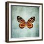 French Butterfly VIII-Debra Van Swearingen-Framed Art Print