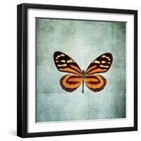 French Butterfly VIII-Debra Van Swearingen-Framed Art Print