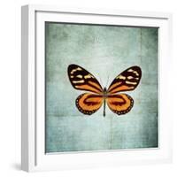 French Butterfly VIII-Debra Van Swearingen-Framed Art Print