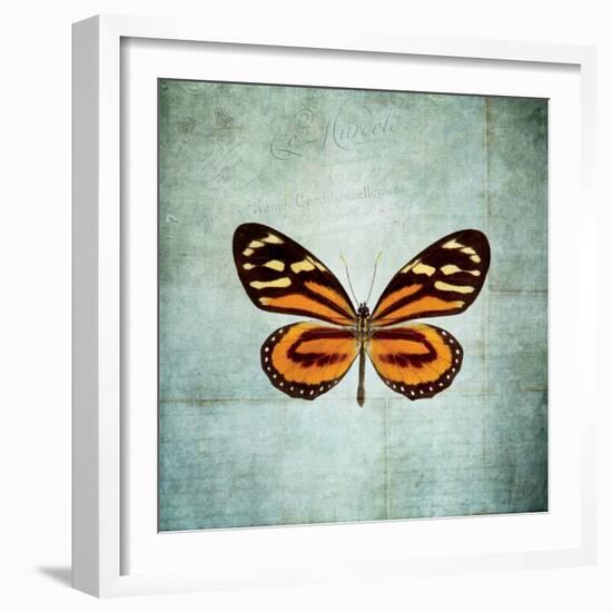 French Butterfly VIII-Debra Van Swearingen-Framed Art Print