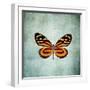 French Butterfly VIII-Debra Van Swearingen-Framed Art Print