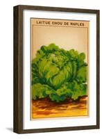 French Cabbage Seed Packet-null-Framed Art Print