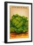 French Cabbage Seed Packet-null-Framed Art Print