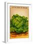 French Cabbage Seed Packet-null-Framed Art Print