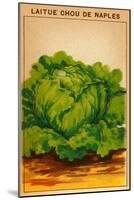 French Cabbage Seed Packet-null-Mounted Art Print