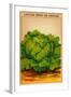 French Cabbage Seed Packet-null-Framed Art Print