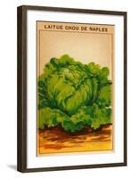 French Cabbage Seed Packet-null-Framed Art Print