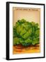 French Cabbage Seed Packet-null-Framed Art Print